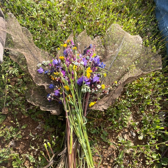 Meet your Posher, Lundyn - Picture 3 of 4